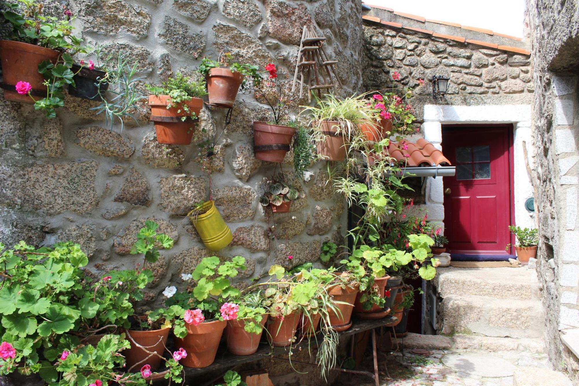Lugar Sao Salvador De Monsanto Villa Екстериор снимка